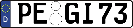 PE-GI73