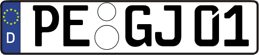 PE-GJ01