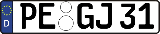 PE-GJ31
