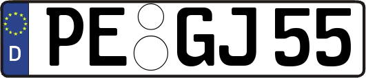 PE-GJ55