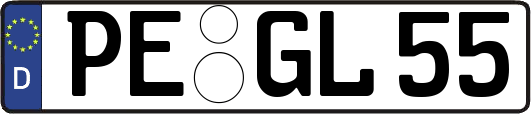 PE-GL55