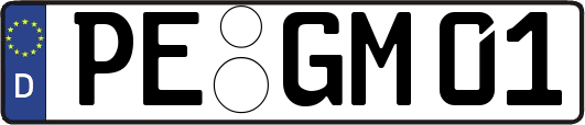 PE-GM01