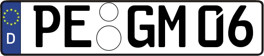 PE-GM06