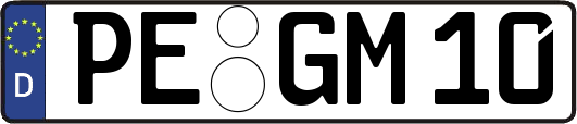 PE-GM10