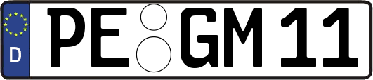 PE-GM11