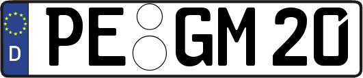 PE-GM20