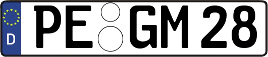 PE-GM28