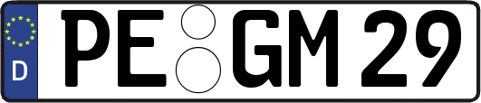 PE-GM29