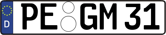 PE-GM31