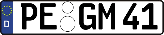 PE-GM41