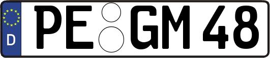 PE-GM48
