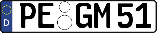 PE-GM51