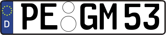 PE-GM53