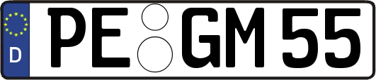 PE-GM55
