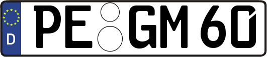 PE-GM60