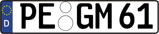 PE-GM61