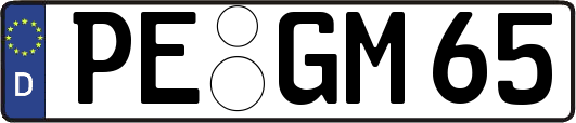 PE-GM65