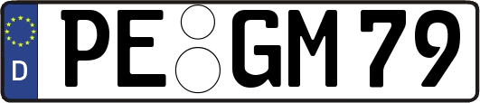 PE-GM79