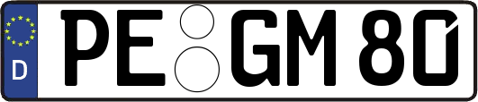 PE-GM80