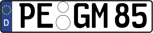 PE-GM85