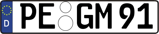 PE-GM91