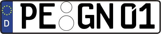 PE-GN01