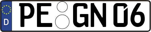 PE-GN06