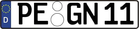 PE-GN11