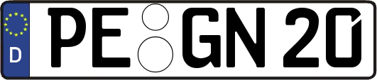 PE-GN20