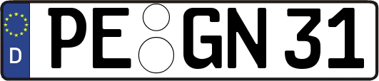 PE-GN31