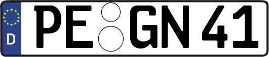 PE-GN41