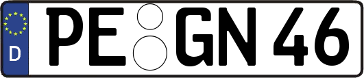 PE-GN46