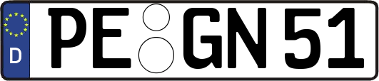 PE-GN51