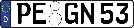 PE-GN53