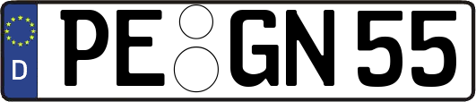 PE-GN55