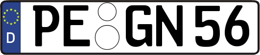 PE-GN56