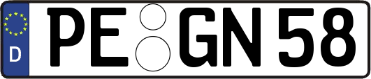 PE-GN58