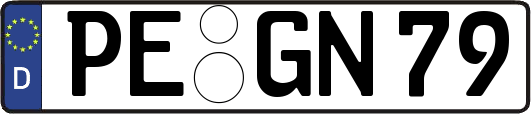 PE-GN79