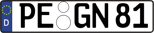 PE-GN81