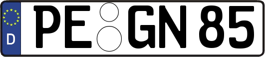 PE-GN85
