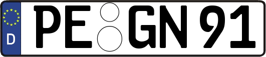 PE-GN91