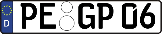 PE-GP06