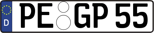 PE-GP55