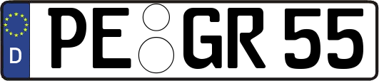 PE-GR55