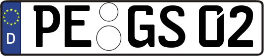 PE-GS02
