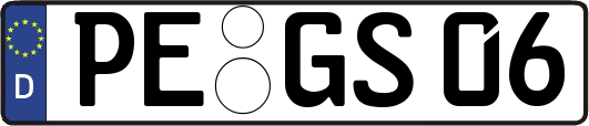 PE-GS06