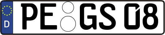 PE-GS08