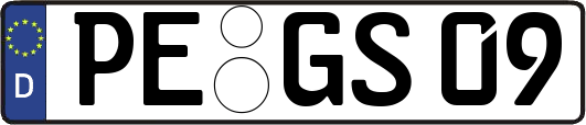 PE-GS09