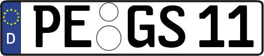 PE-GS11