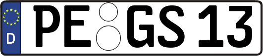 PE-GS13